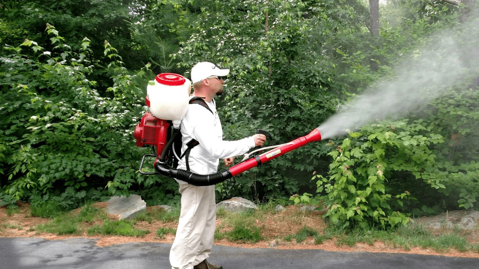 Why Choose Mosquito Pest Control Services