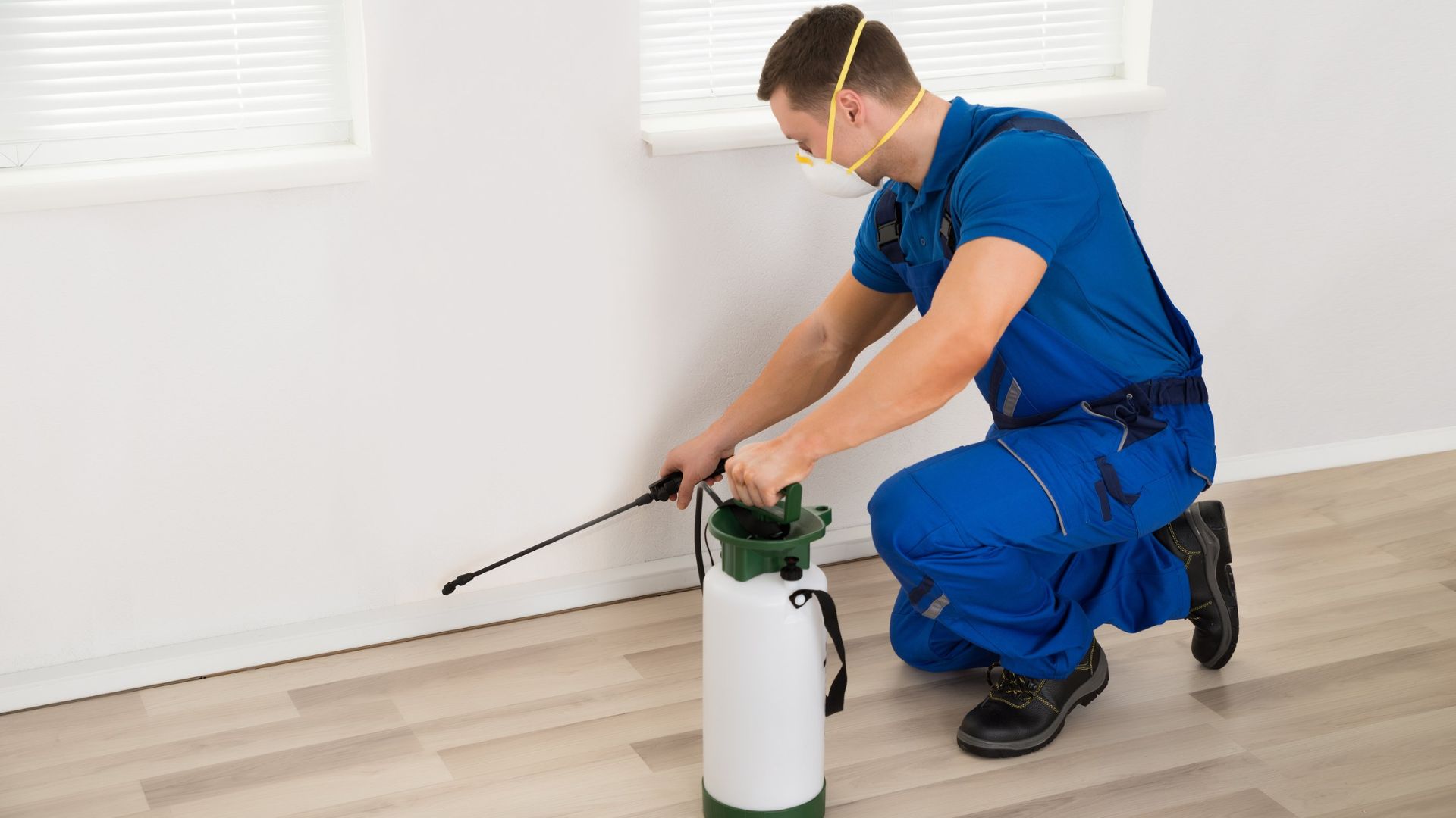 The best pest control Services provider